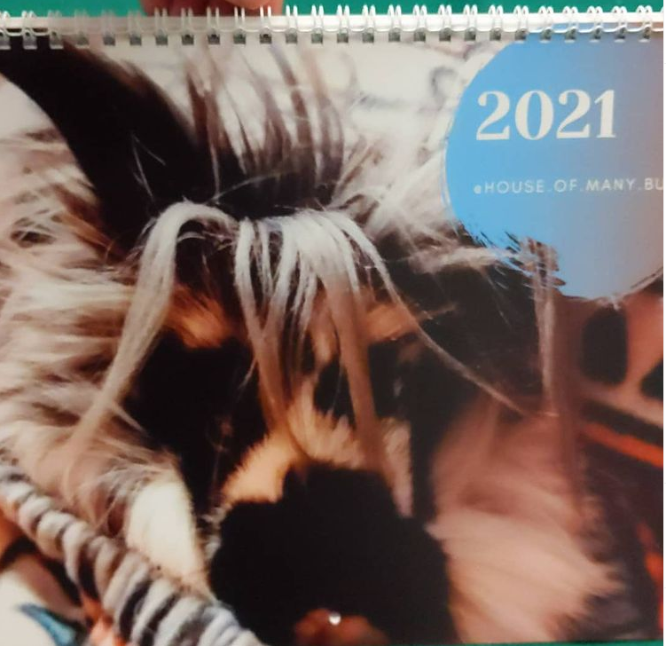 Calendar cover