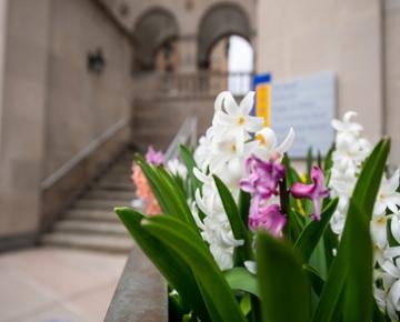 Flowers bloom on the Pittsburgh campus.